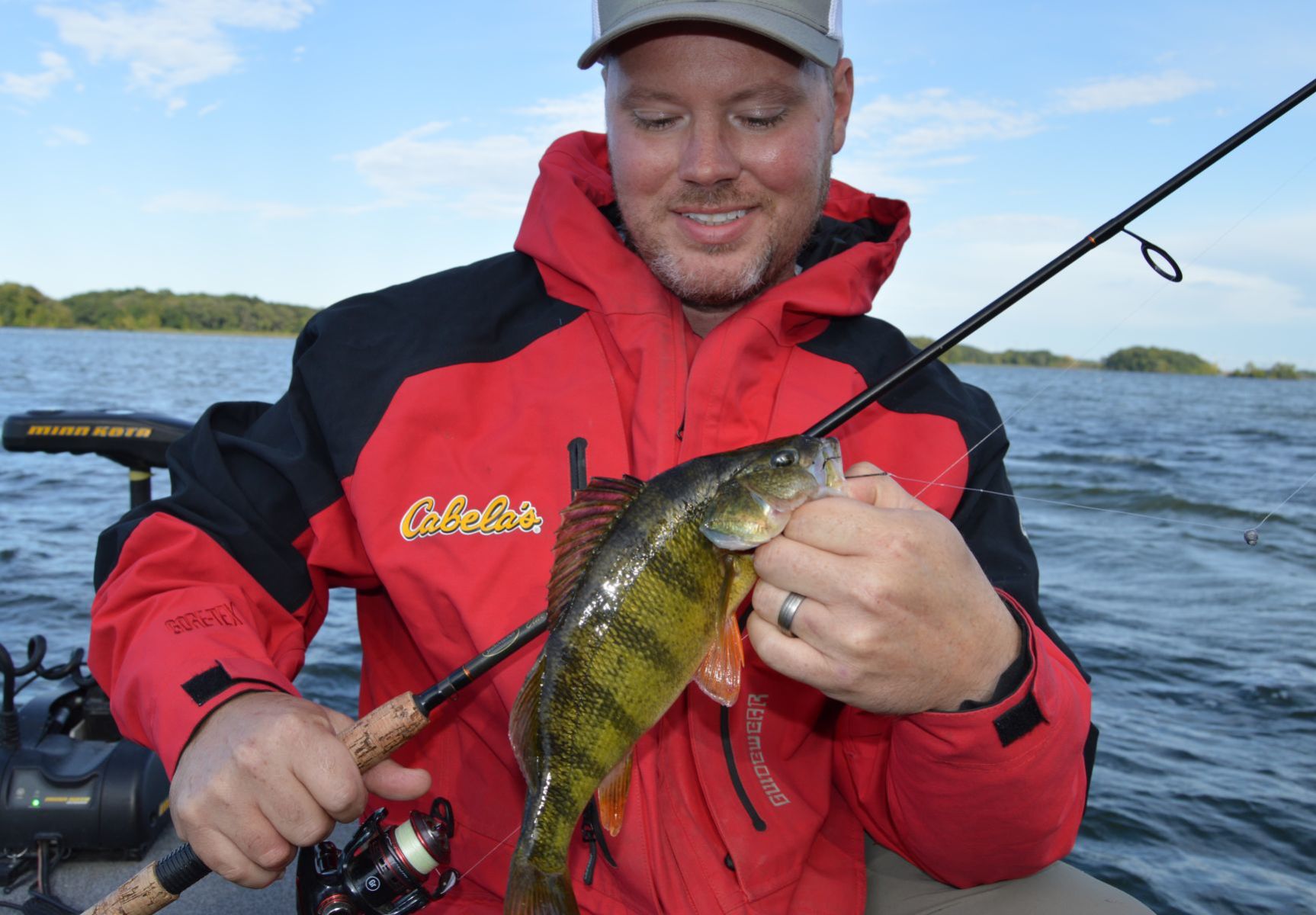 Spring perch